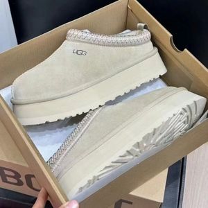 Delivery within 48 hours  UGG Tazz Slipper Mustard Seed (Women's）